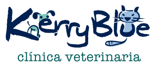 Kerry Blue, clínica veterinaria en Oviedo.